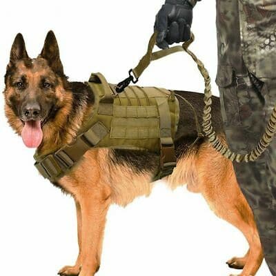 K9 Accessories-Kit Bag Perth